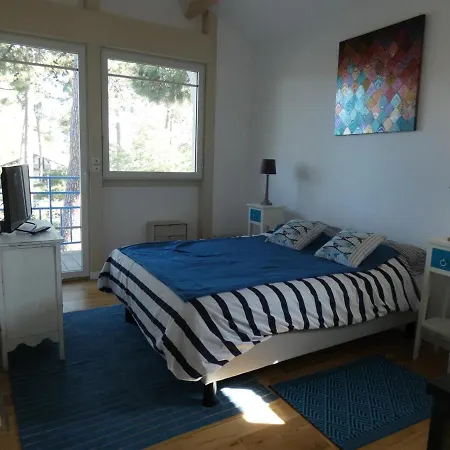 Moderne 4 Chambres, Piscine Chauffee, Wi-fi, Proche Et Commerces, - Fr-1-374-147 Villa Arcachon