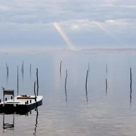 Moderne 4 Chambres, Piscine Chauffee, Wi-fi, Proche Et Commerces, - Fr-1-374-147 Arcachon