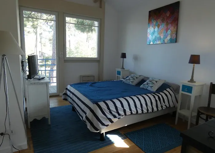 Moderne 4 Chambres, Piscine Chauffee, Wi-fi, Proche Et Commerces, - Fr-1-374-147 Villa Arcachon