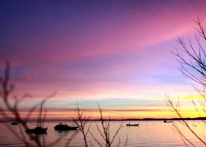 Moderne 4 Chambres, Piscine Chauffee, Wi-fi, Proche Et Commerces, - Fr-1-374-147 Arcachon