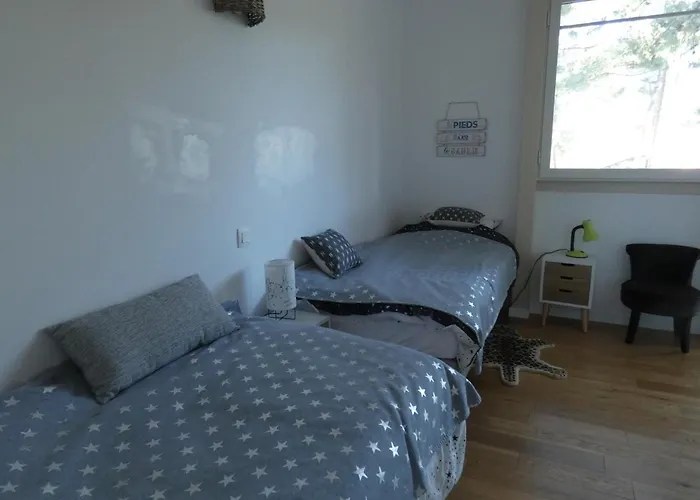 Moderne 4 Chambres, Piscine Chauffee, Wi-fi, Proche Et Commerces, - Fr-1-374-147 Arcachon