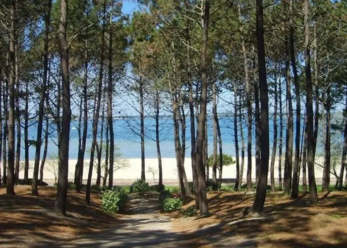 Moderne 4 Chambres, Piscine Chauffee, Wi-fi, Proche Et Commerces, - Fr-1-374-147 Villa