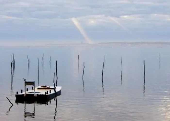 Moderne 4 Chambres, Piscine Chauffee, Wi-fi, Proche Et Commerces, - Fr-1-374-147 Arcachon